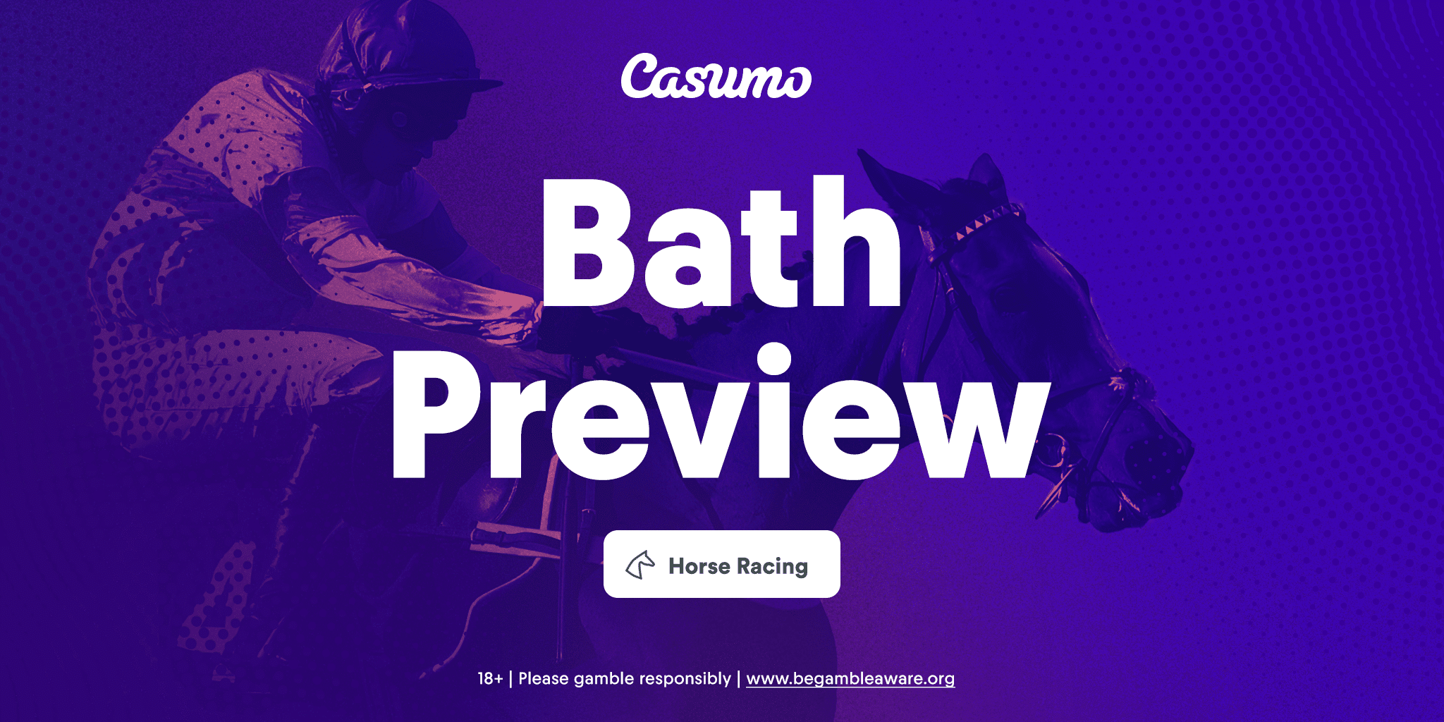 Bath horseracing