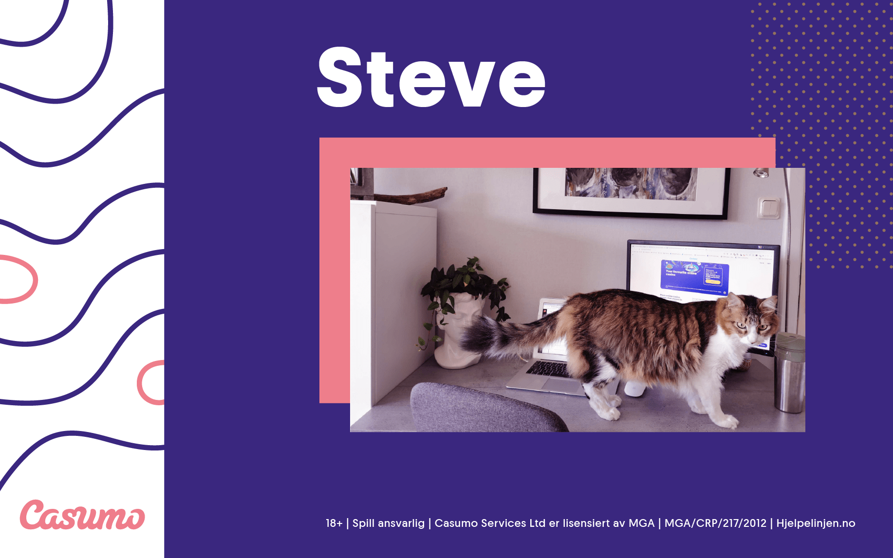 I denne ukens intervju deler Steve sine beste tips om å jobbe hjemmefra.