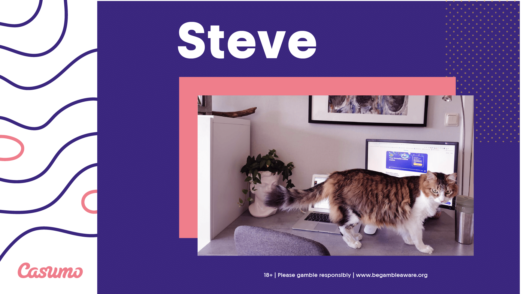 Steve shares his best working from home practices in this week’s interview.