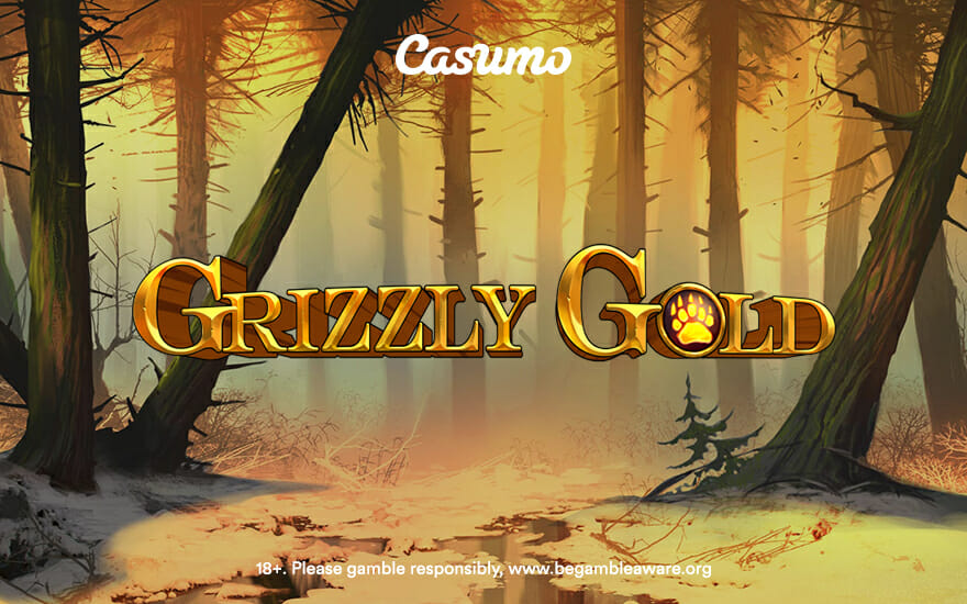 exclusively at Casumo|Grizzly Gold