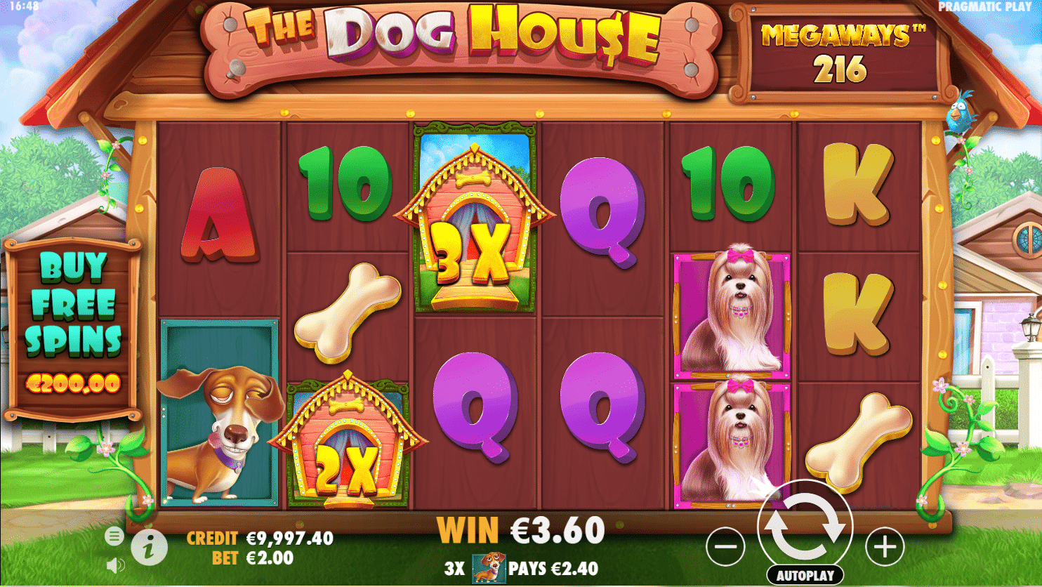 The Dog House Megaways gameplay screenshot